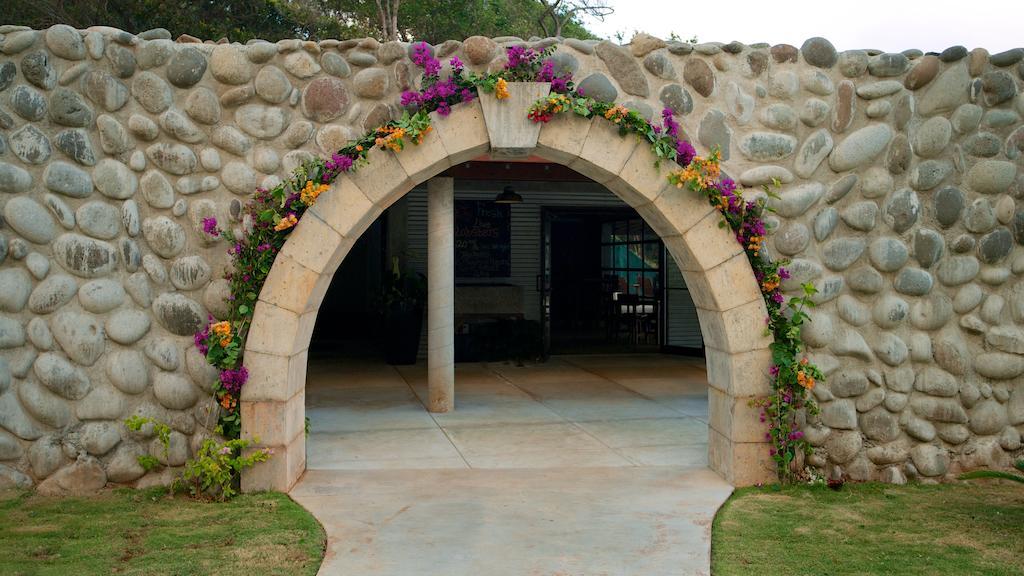 Pagua Bay House - Oceanfront Cabana'S Marigot Exterior photo